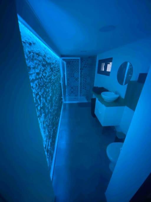 Petite Maison Plain-pied Climatise Appartement Migné-Auxances